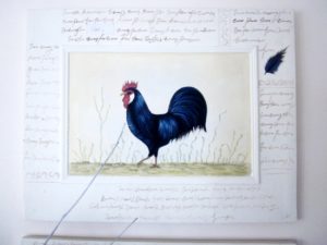 rooster picture