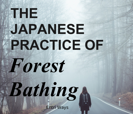 Japanese practice of forest bathing