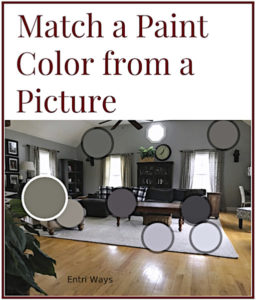 match a paint color, colorsnap