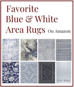 Favorite Blue and White area rugs on amazon