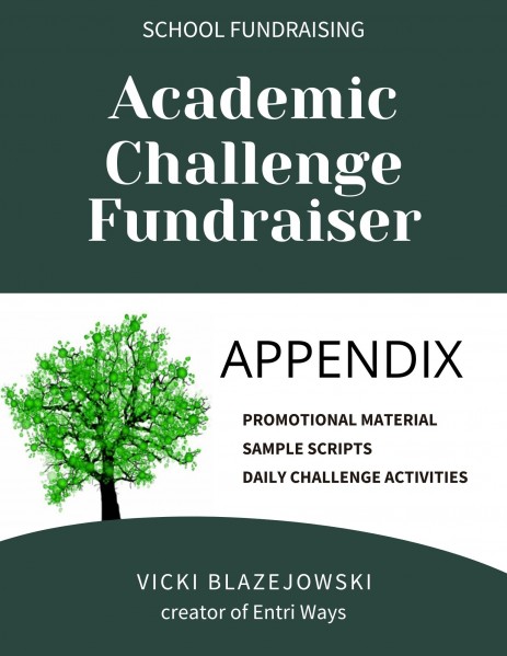 Academic Challenge Appendix cover